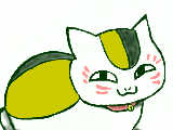 猫祭り～!!!!!!!!