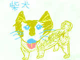 柴犬を描きまくろっ！